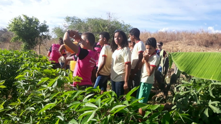 Alunos da zona rural participam de ação educativa sobre produção agroecológica