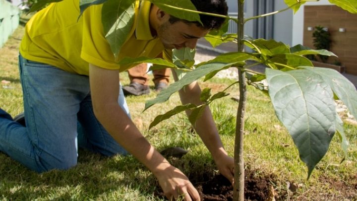Governo Municipal realiza Semana do Meio Ambiente com plantio de ipês e frutíferas